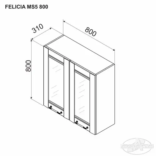 felicia-cu sticla